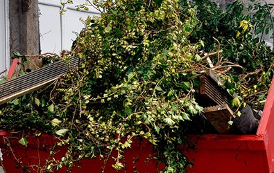 Skip Hire the best option for your garden waste