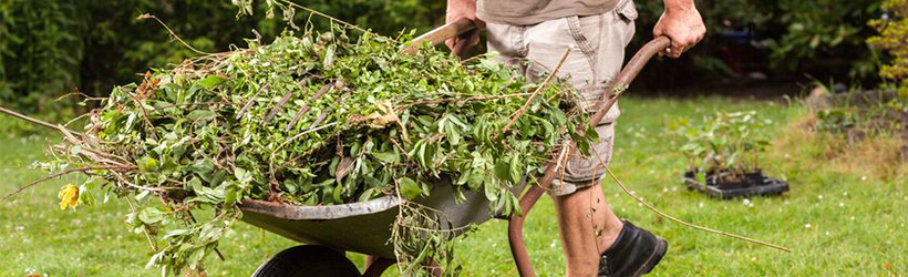 Which skip should you use for a garden clearance?