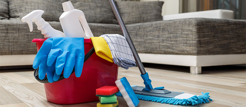 domestic cleaning products