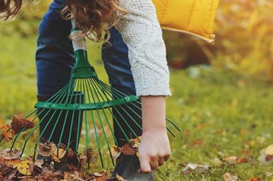 girl picking leaves