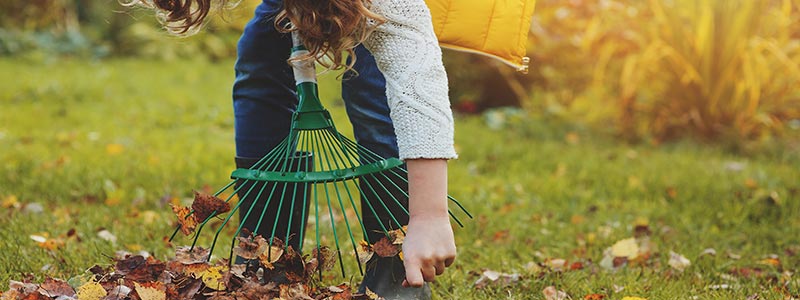 girl picking leaves