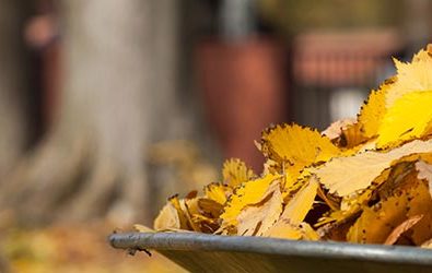 easy steps to get your garden ready for winter feature image