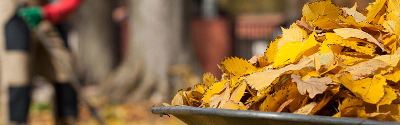 easy steps to get your garden ready for winter feature image
